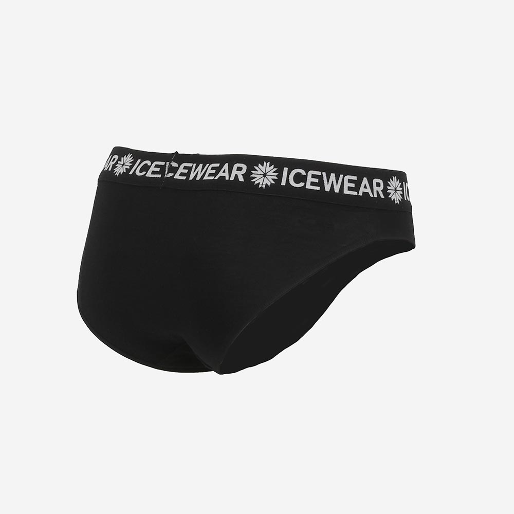 svartanes-women-merino-baselayer-panties-fw1296-4.jpeg